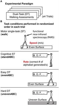 Novel attentional gait index reveals a cognitive ability-related decline in gait automaticity during dual-task walking